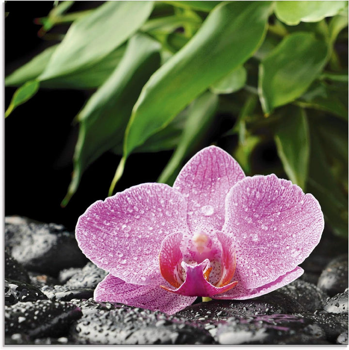 ARTland Glasbilder Wandbild Glas Bild einteilig 50x50 cm Quadratisch Natur Asien Botanik Blumen Orch