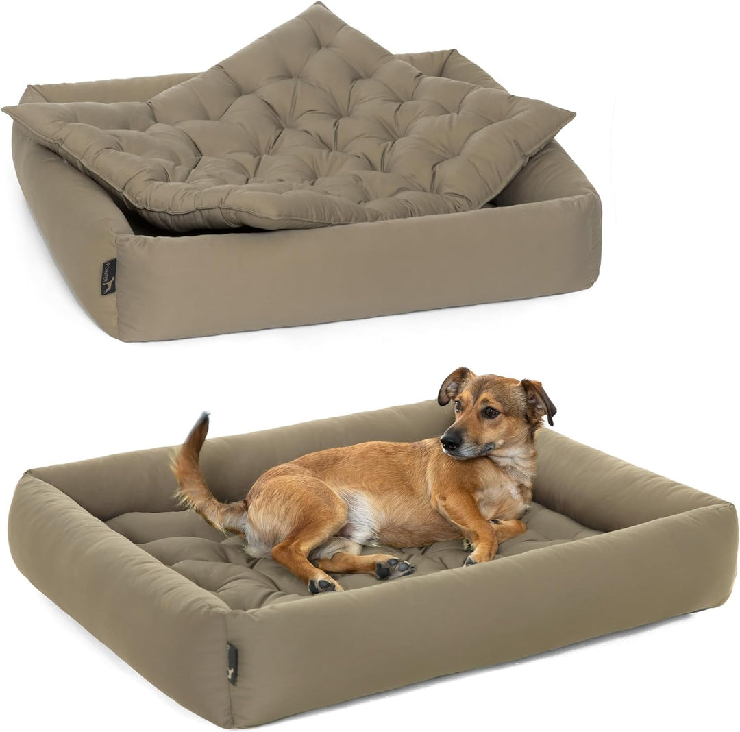 Pointer | Hundebett mit Hundekissen - orthopädisch, waschbar, bequem (L - 80x70 cm, Beige) L - 80x70