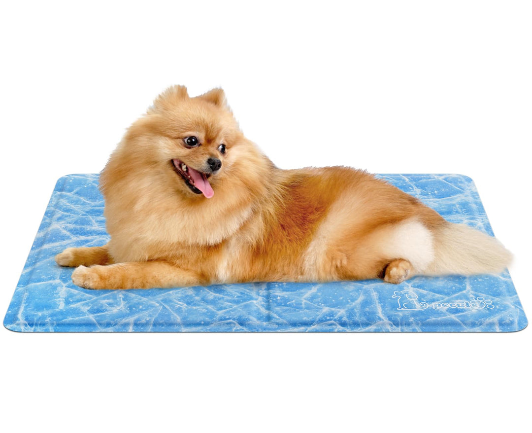 pecute Kühlmatte Hunde Katzen(65 * 50cm), Kuhlmatte für Hund und Katze mit Ungiftiges Gel,Selbstkühl