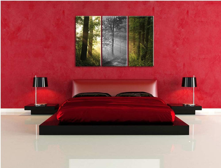 Ruhiger Waldweg im Grünen schwarz/weiss 3-Teiler Leinwandbild 120x80 Bild auf Leinwand, XXL riesige