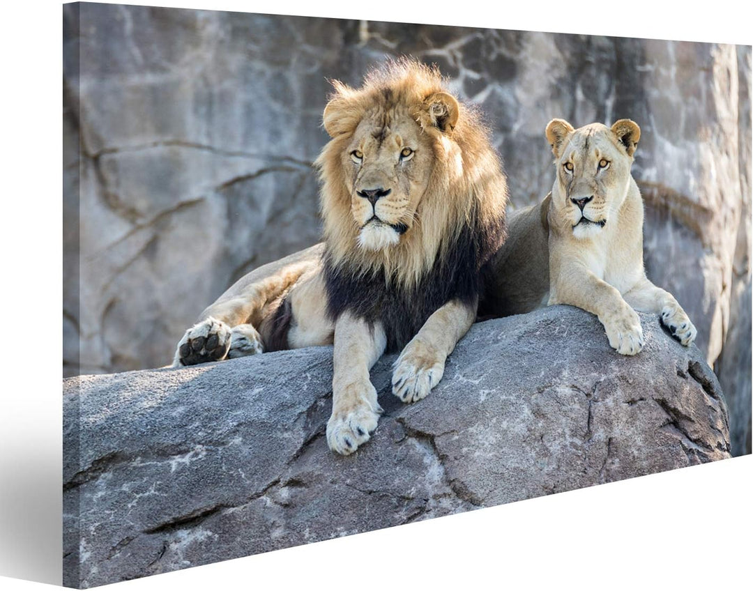islandburner Bild Bilder auf Leinwand Löwenpaar männlicher und weiblicher Löwe, der auf einem Felsen