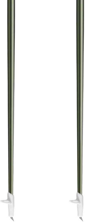LEKI Flash Carbon Stöcke, Green metallic-Black, 115CM 115CM green metallic-black, 115CM green metall