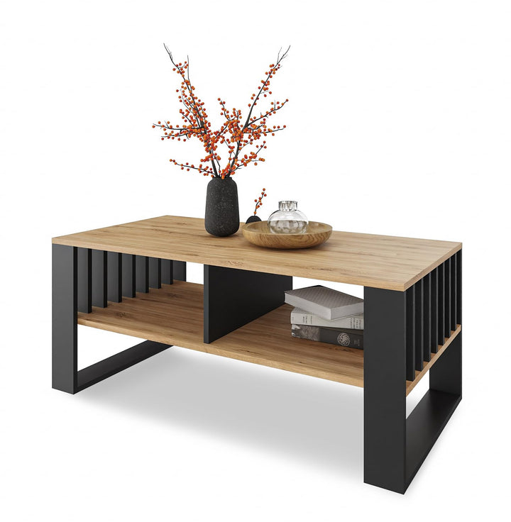 Meble Pitus Couchtisch - Wohnzimmertisch Modern - Couchtisch mit Stauraum 90 x 50 x 50cm - Tisch für