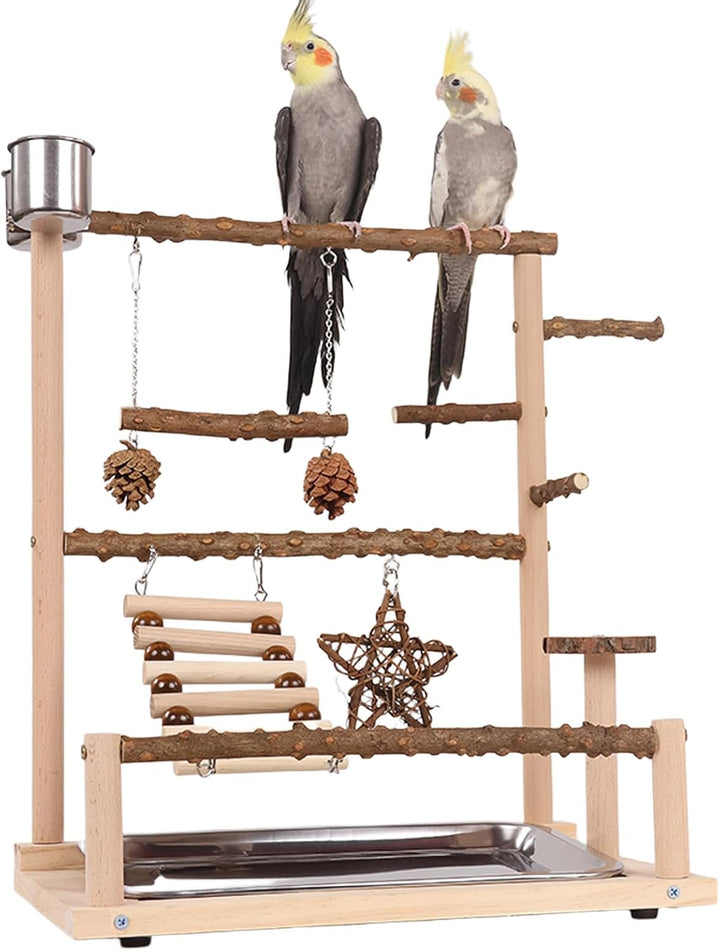 Vogelspielplatz Wellensittich Spielplatz Spielzeug, Grosser vogel Spielplatz mit Schaukel Sitzstange