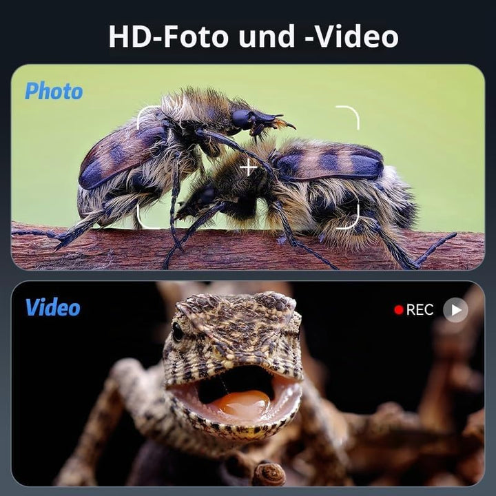 Ashfly LCD Digital Mikroskop für Münzen, 7 Zoll 1080P USB Mikroskop, 50X-500X Auflösung, Microscope
