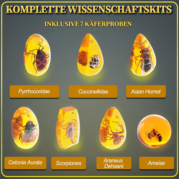 Bernstein Ausgrabungsset für Kinder ab 6 7 8 9 10 11 12 Jahren, Fossilien Ausgrabungsset Kinder mit
