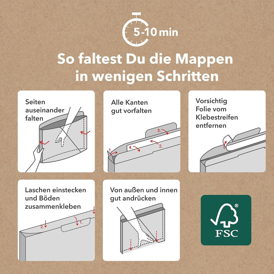 Rotho MyPaper Inbox Dokumentenorganizer MY PAPER Plus, Kunststoff (PP) BPA-frei, weiss, (36.4 x 16.8