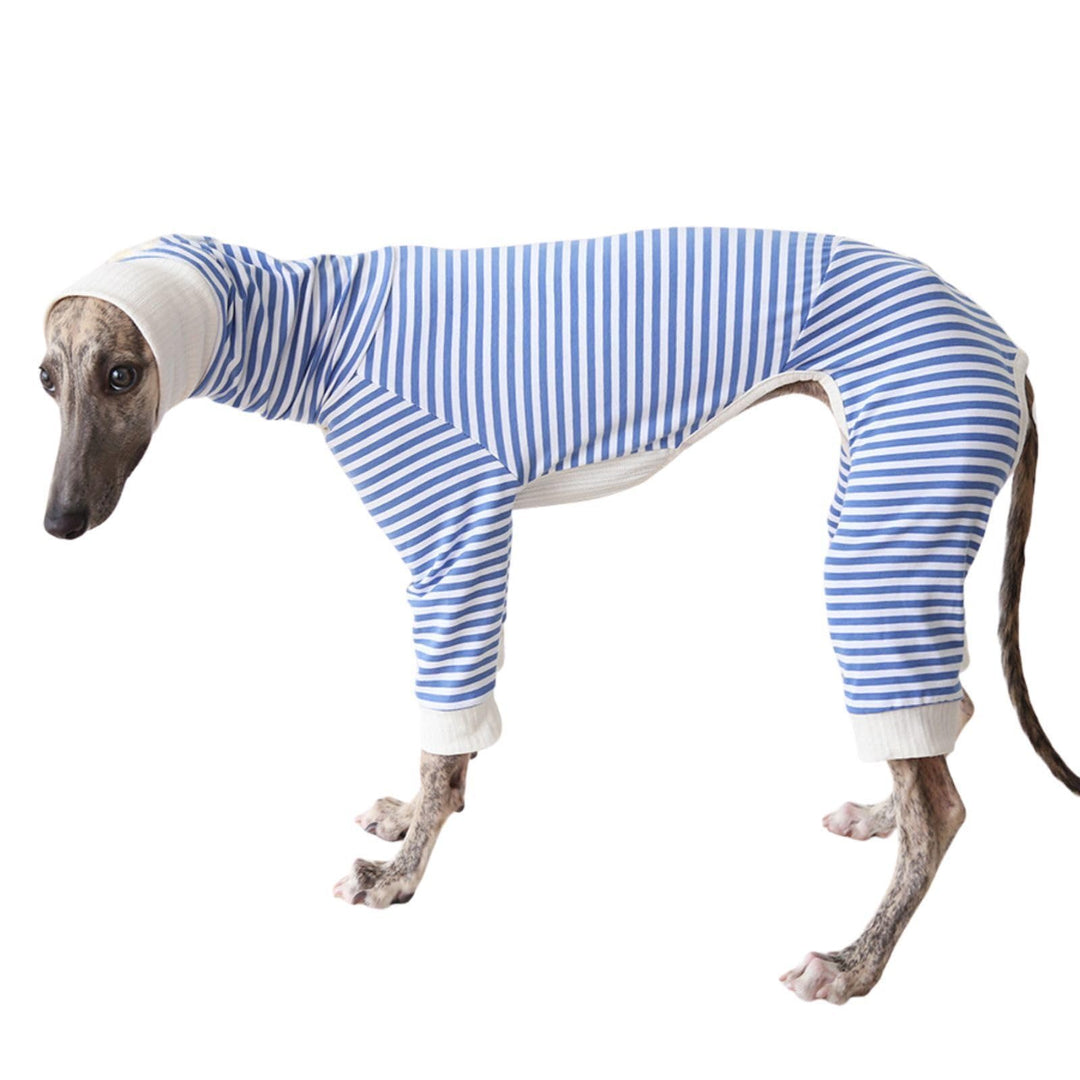 Leichter Baumwoll-Windhund-Pullover, Whippet-Kleidung mit Beinen, Rollkragen-Hunde-Jumpsuit, Hunde-P