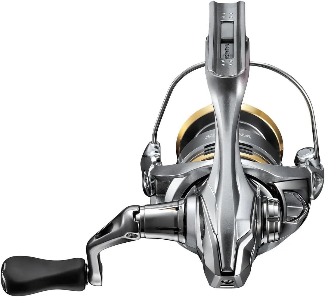 Shimano Sedona FJ Angelrolle C3000 HG, C3000 HG