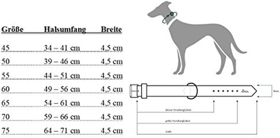 HUNTER Hundehalsband NEOPREN REFLECT, Farbe: rot/schwarz, weiche Polsterung, reflektierend, besonder