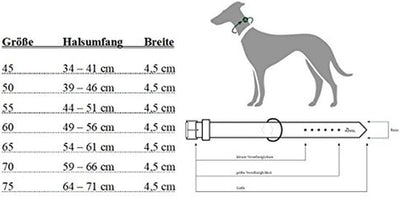 HUNTER NEOPREN REFLECT Hundehalsband, Nylon, Neopren gepolstert, reflektierend, 60 (L), Halsumfang: