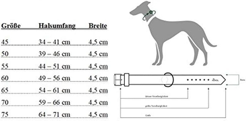 HUNTER NEOPREN REFLECT Hundehalsband, Nylon, Neopren gepolstert, reflektierend, 60 (L), Halsumfang: