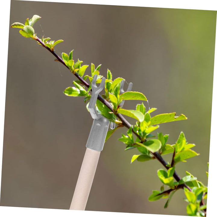 Yardwe 30 STK Abzweigstecker Baumpfähle Baumhalter Baum Steht Pfähle Für Pflanzen Gartenzubehör Baum