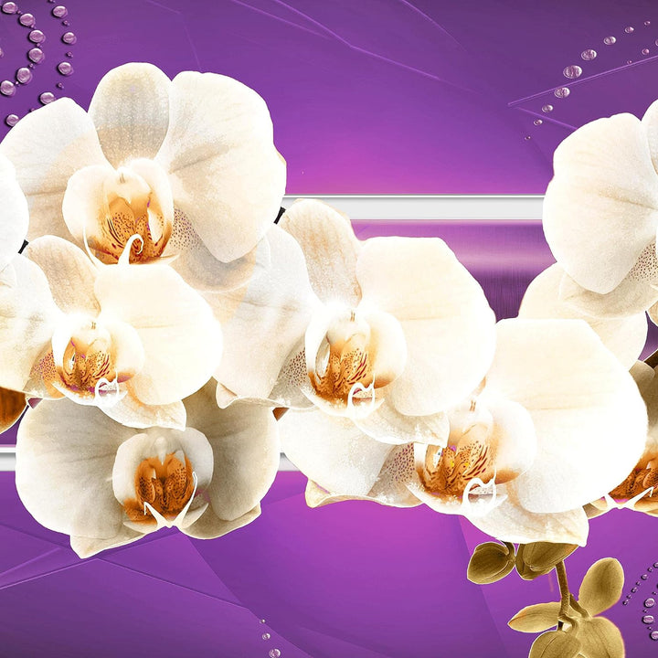 Runa Art Wandbilder Blumen Orchidee 5 Teilig Bild auf Vlies Leinwand Deko Wohnzimmer Abstrakt Violet