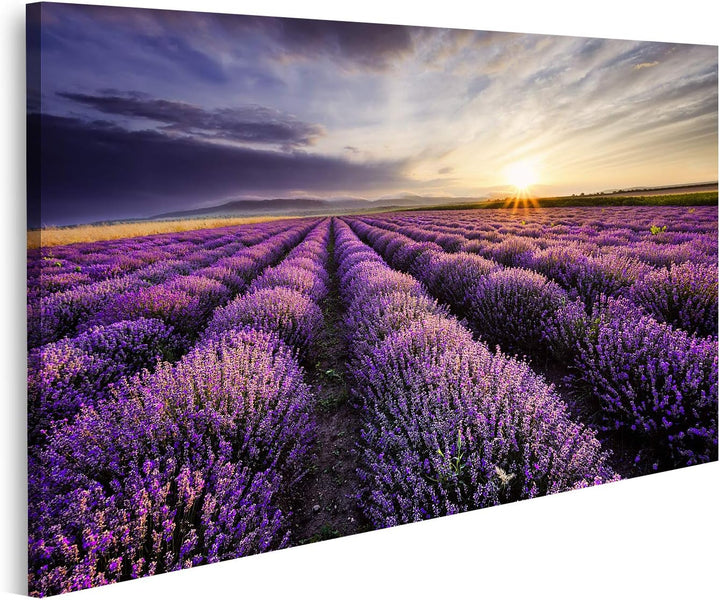islandburner Bild auf Leinwand Lavendel Sonnenaufgang Dramatische Wolken Über Feld Bilder Wandbilder