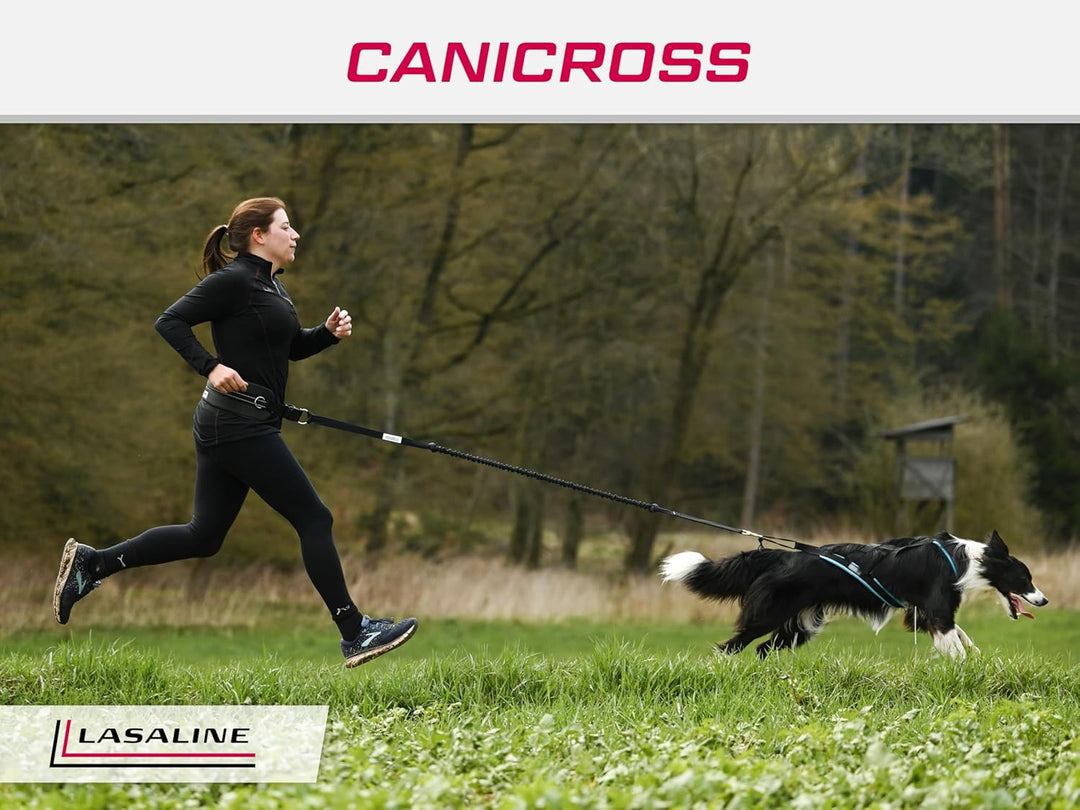 LASALINE Hunde Zuggeschirr X Back für Canicross Hundesport Dogscooter Bikejöring Schlitten in Schwar