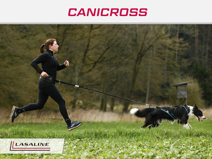 LASALINE Hunde Zuggeschirr X Back für Canicross Hundesport Dogscooter Bikejöring Schlitten in Schwar