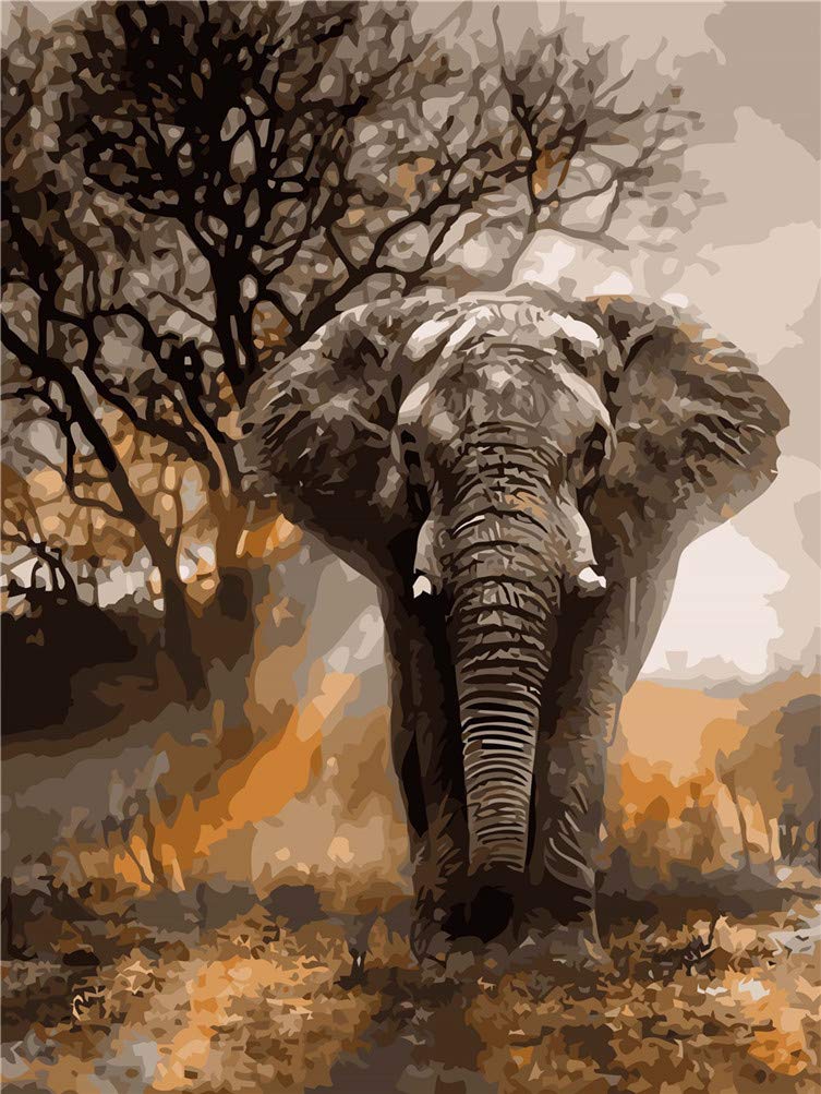 Malen nach Zahlen-Kits, Amiiba Elefant, 40,6 x 50,8 cm, Acryl, Malen nach Zahlen, Wandkunst zum Bast