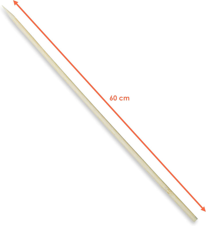Bambus Splittstab 60 cm Natur - 200 Stück - Anzuchthilfe für Pflanztöpfe und Beete - Garten Pflanzst