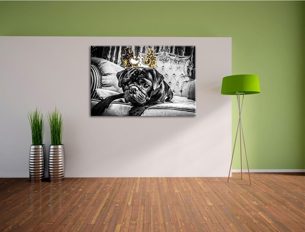 Mops mit Krone auf Thron schwarz/weiss Format: 100x70 auf Leinwand, XXL riesige Bilder fertig gerahm