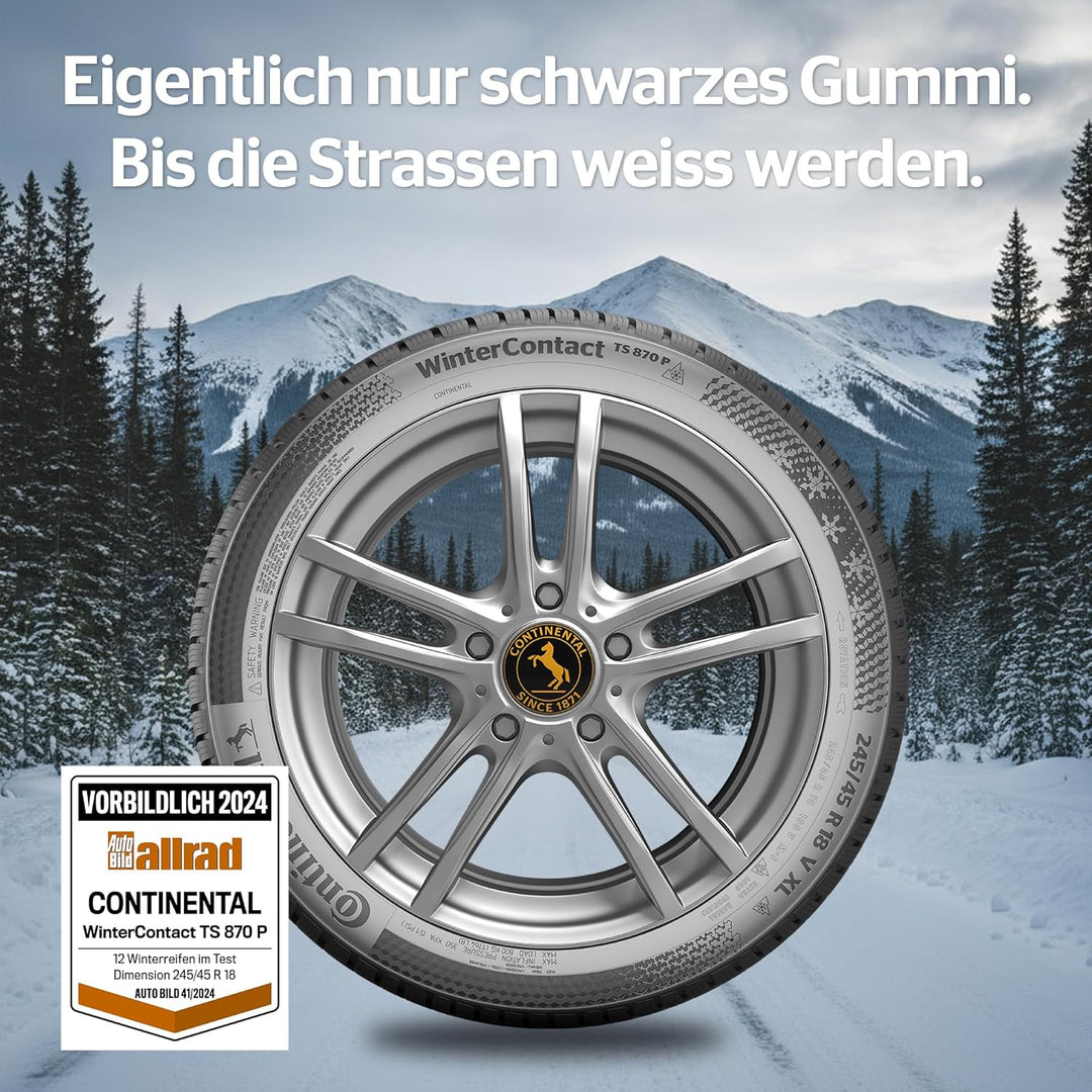 CONTINENTAL WINTERCONTACT TS 870 P - 225/55R19 99V - B/B/71dB - Winterreifen