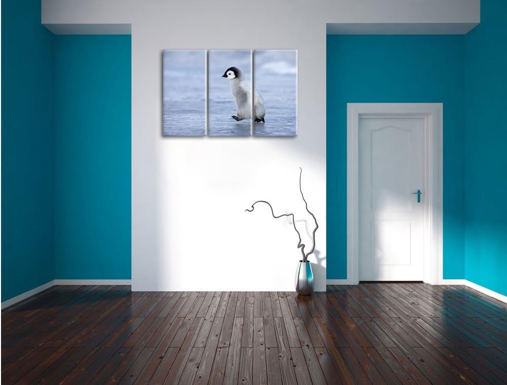 Pixxprint Niedliches Kaiserpinguinkücken als Leinwandbild/Grösse: 3 Teilig (120x80) cm/Wandbild/Kuns