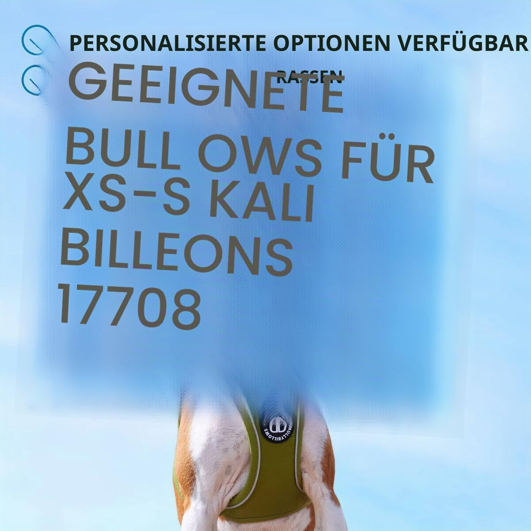 BullyBillows Step-In Hundegeschirr mit Griff | Geschirr für kleine Hunde/Welpen mit Polsterung &amp; sta