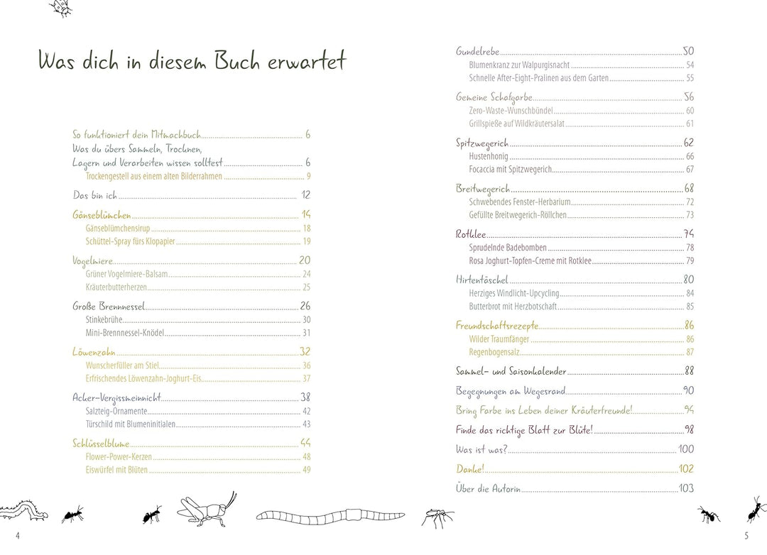 Meine wilden Kräuterfreunde: Heimische Wiesenkräuter entdecken und kennenlernen: Das Mitmachbuch für