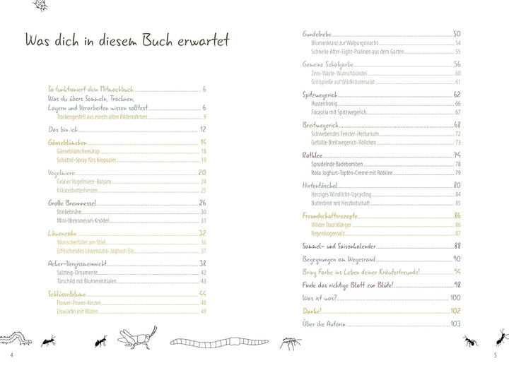 Meine wilden Kräuterfreunde: Heimische Wiesenkräuter entdecken und kennenlernen: Das Mitmachbuch für