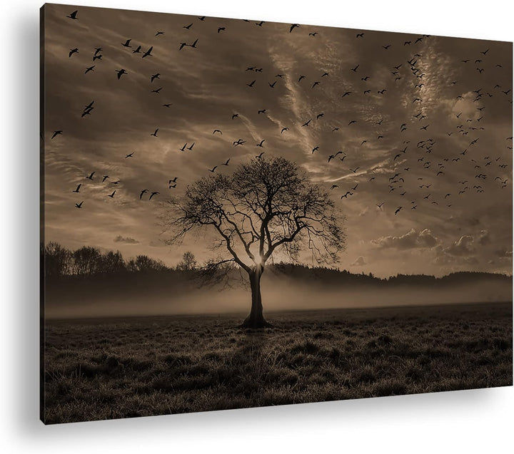 deyoli einsamer Baum Format: 80x60 Effekt: Sepia als Leinwandbild, Motiv fertig gerahmt auf Echtholz