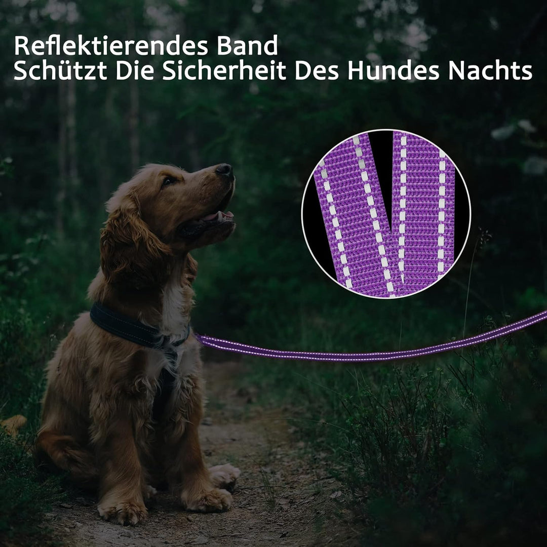 Demigreat Schleppleine für Hunde, 3m / 5m / 10m / 15m / 20m Robuste Lange Hundeleine Reflektierend T