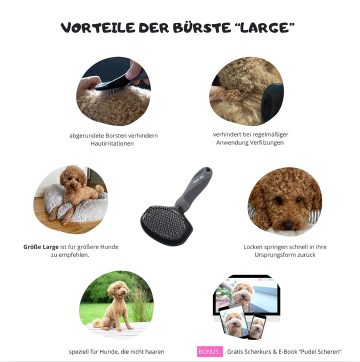 Moki Bär Softbürste Hundebürste Pudel mit Schutznoppen für besonders empfindliche Tiere I Ideal für