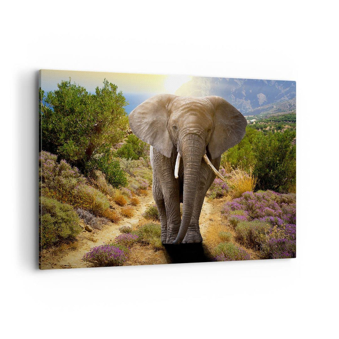 Bilder auf Leinwand 100x70cm Leinwandbild Tiere Afrika Elefanten Spaziergang Gross Wanddeko Bild Sch