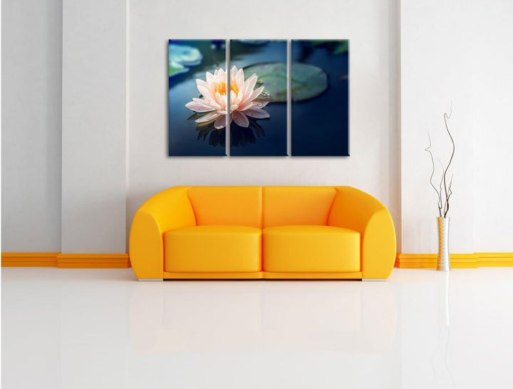 Pixxprint Eine schöne rosa Lotosblume in Teich 3-Teiler Leinwandbild 120x80 Bild auf Leinwand