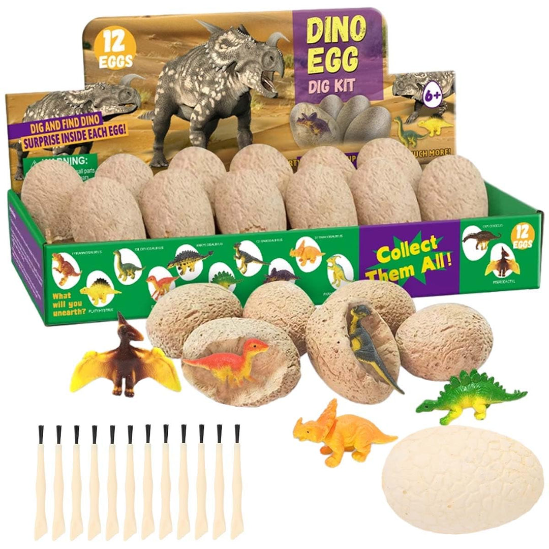 Dino Eier Zum Ausgraben, 12 Stück Dinosaurier Ausgrabungsset Fossilien Ausgrabungsset Kinder Klassen