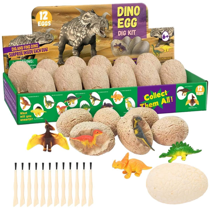 Dino Eier Zum Ausgraben, 12 Stück Dinosaurier Ausgrabungsset Fossilien Ausgrabungsset Kinder Klassen