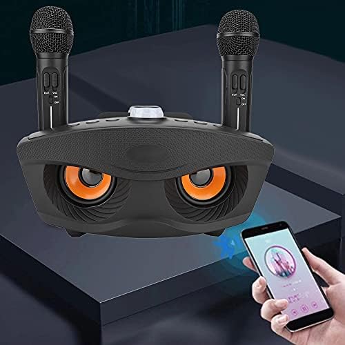 Bewinner Kabelloser Karaoke, Heim Bluetooth Lautsprecher mit Zwei Mikrofonen, Mikrofon Tragbarer Kar