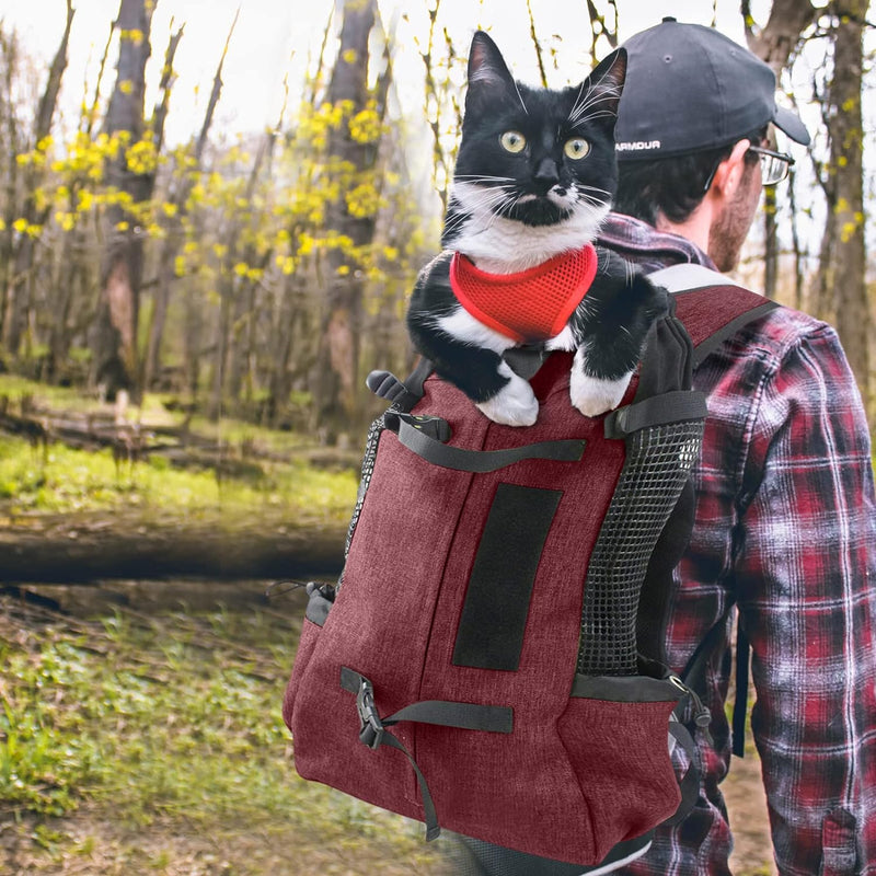 PETCUTE Hundetasche Hundetransporttasche Tragetasche für Hunde Katzen Wanderrucksack Seite Atmungsak