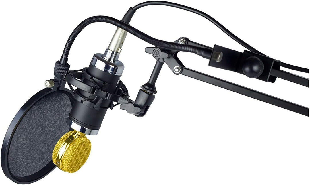 Nady 15,2 cm (6 Zoll) Mikrofon Pop Filter Windschutz mit flexiblem Schwanenhals und Metallstabilisie