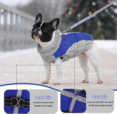 Hjumarayan Hundemantel für Kleine Hunde - Hundemantel Winter Hundemantel mit Geschirr Wintermantel H
