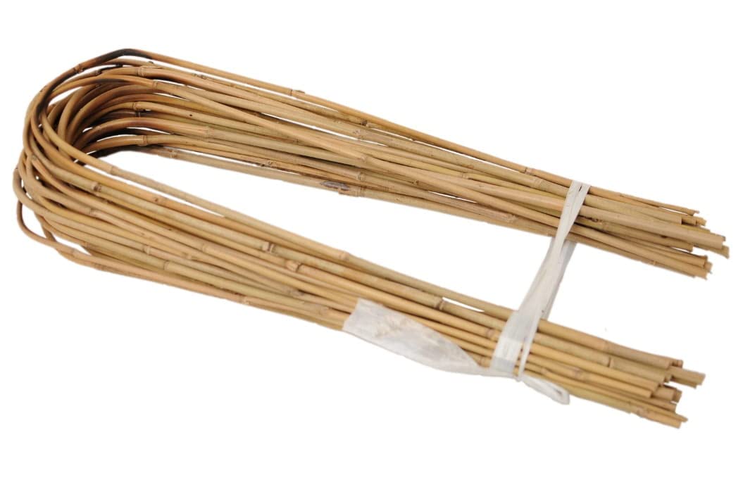 DIXIE STORE Gebogener Bambus Bambusstifte Natürliche - für Pflanzen Dekoratives Element Rankhilfe Cl