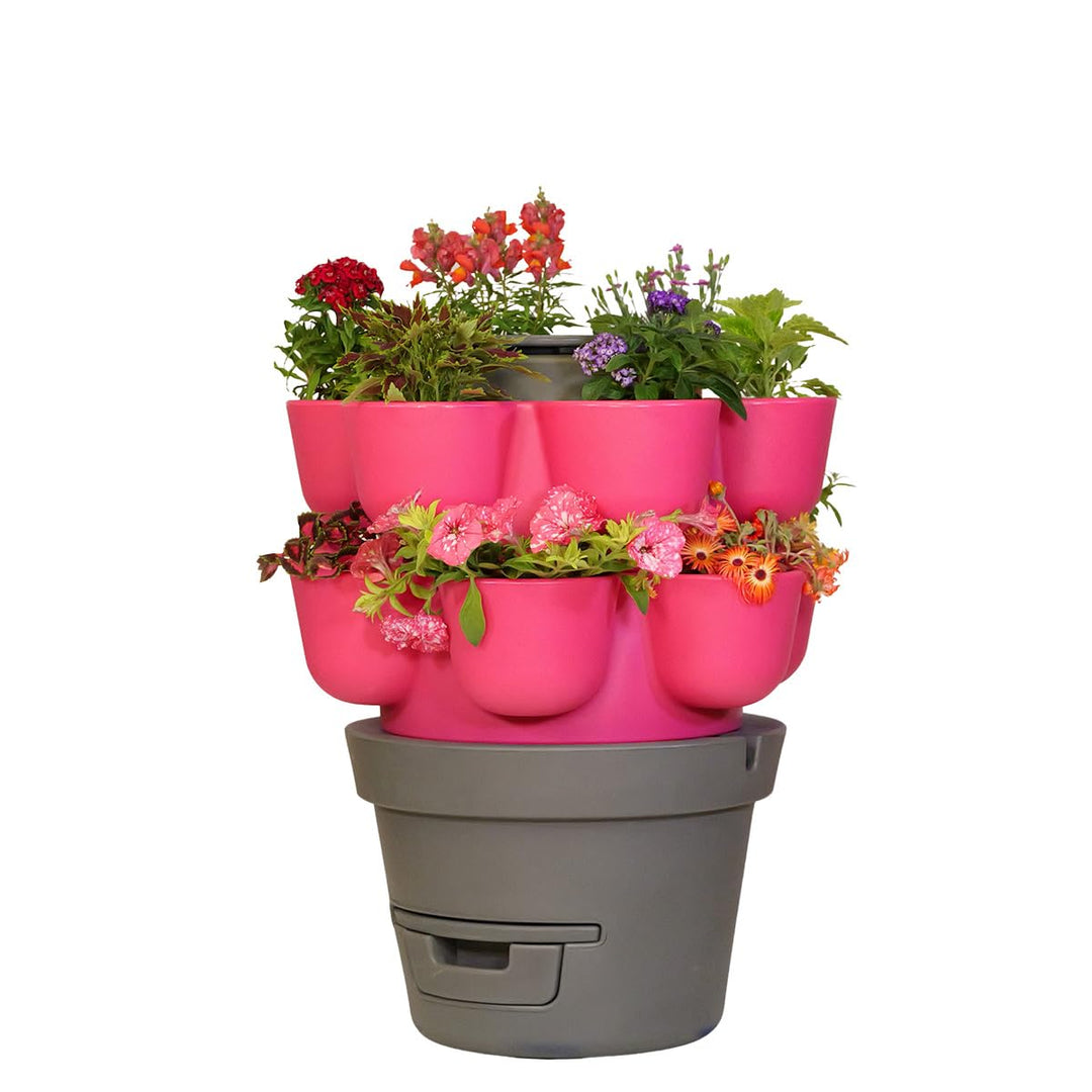 WORMgarden Fuchsie 2 Pflanzgefässe | Vertikaler Gemüsegarten mit integriertem Wurmkomposter | Legen