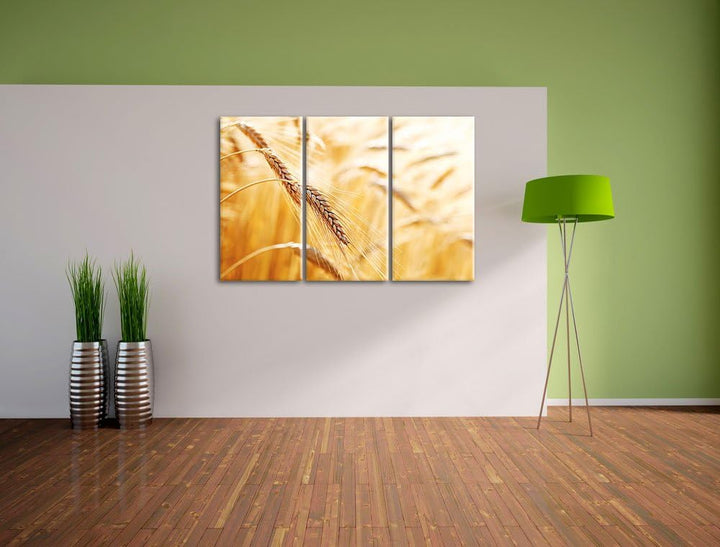 Weizen auf dem Feld als 3-Teiler Leinwandbild 120x80 Bild auf Leinwand, XXL riesige Bilder fertig ge