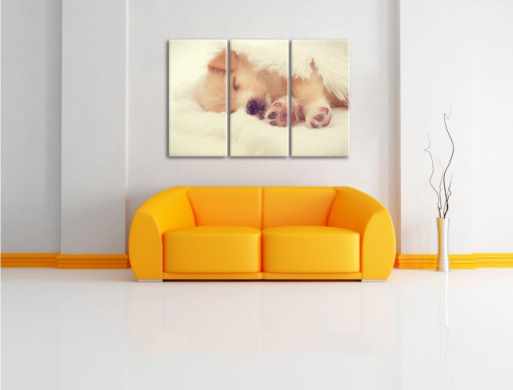 Pixxprint Kleiner schlafender Welpe als Leinwandbild/Grösse: 3 Teilig (120x80) / Wandbild/Kunstdruck
