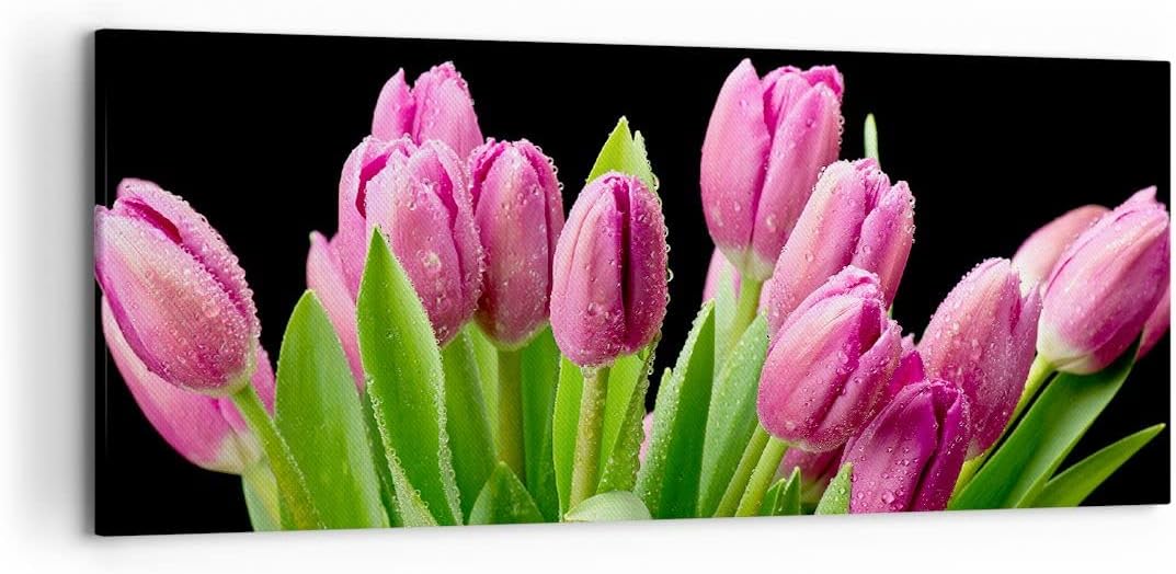 Wandbilder Dekoration Wohnzimmer Tulpen Blumenstrauss Tau Tropfen Panorama Bilder auf Leinwand 120x5