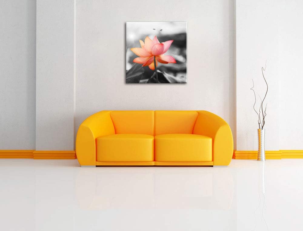 zarter Lotus schwarz/weiss, Format: 70x70 auf Leinwand, XXL riesige Bilder fertig gerahmt mit Keilra