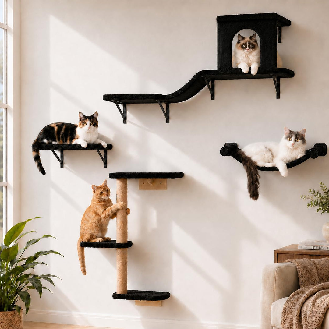 Kletterwand Katzen Set, 4-in-1 Katzen Kletterwand Set, Stabiler Katzenmöbel mit Hängematte, Katzenha