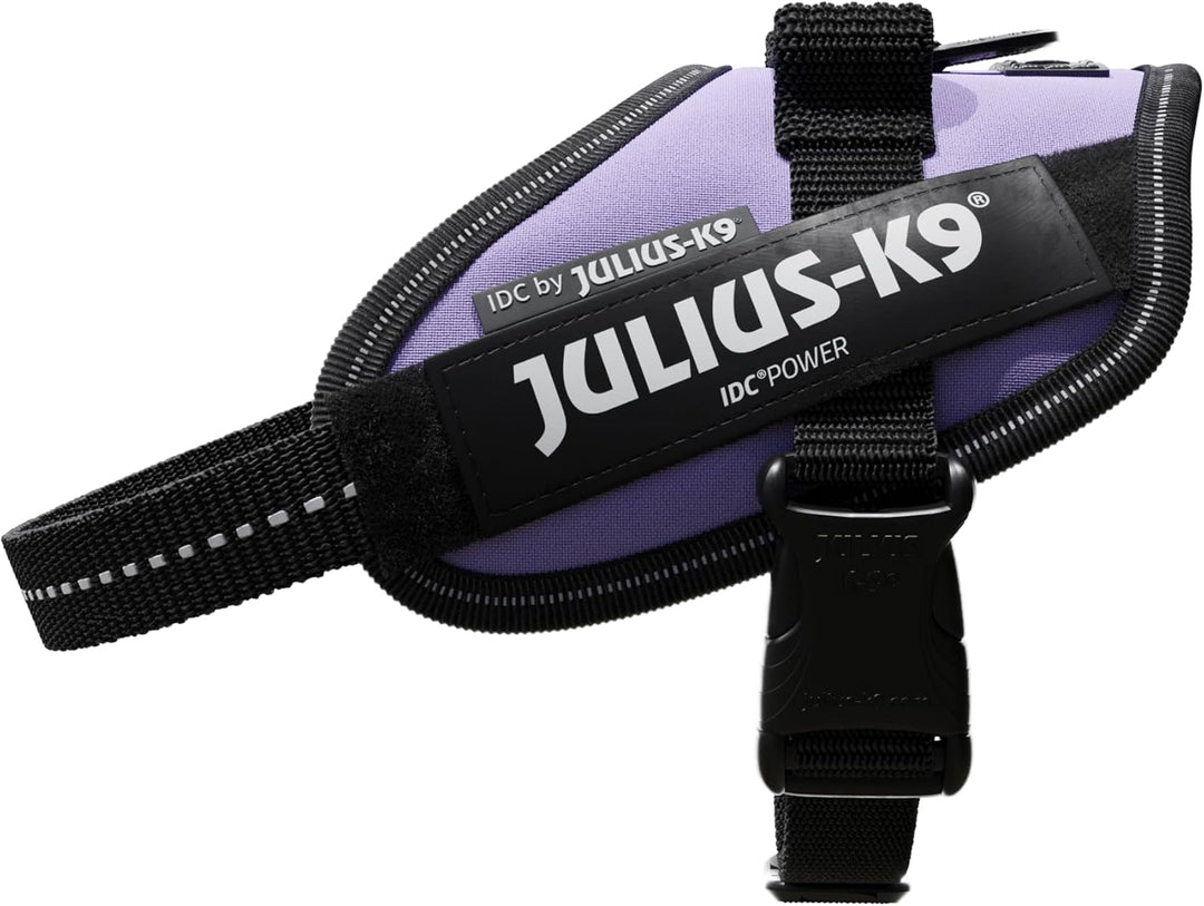 IDC Powergeschirr, Grösse: XS/Mini-Mini, Violett Violett XS/Mini-Mini, Violett XS/Mini-Mini