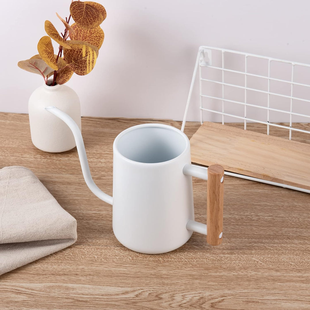 IMEEA 1L Indoor-Giesskanne Zimmerpflanzen ，Moderne Giesskannek kleinere Topfpflanzen Edelstahl-Giess