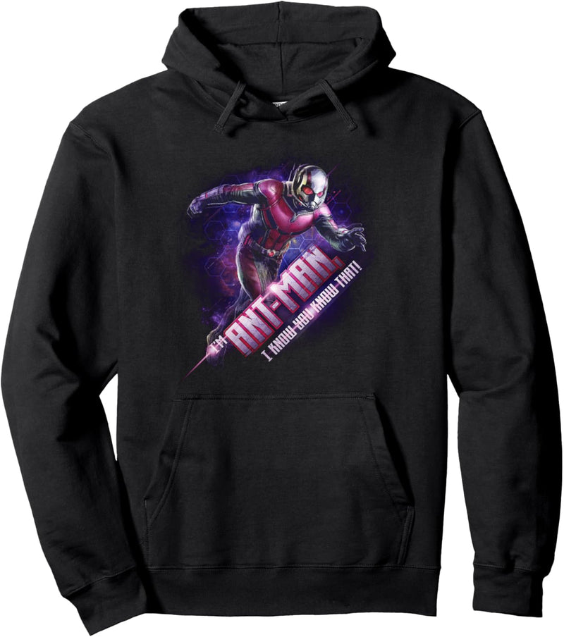 Marvel Avengers Endgame Ant-Man Quote Portrait Pullover Hoodie